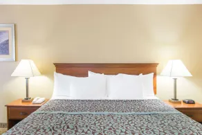Days Inn by Wyndham Ripley - Room