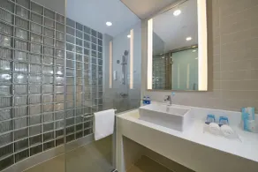 Holiday Inn Express Luoyang Yichuan by IHG - Badeværelse