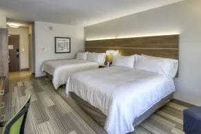 Holiday Inn Express & Suites Lincoln Airport by IHG - Chambre