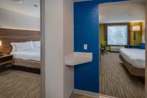 Holiday Inn Express Hotel & Suites Modesto-Salida by IHG - Chambre