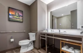Cambria Hotel College Park - Badrum