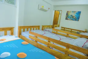 Perla Negra House Hostel - Room