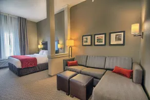 Comfort Suites Marietta-Parkersburg - Chambre