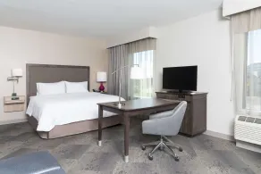 Hampton Inn & Suites Chicago Schaumburg - Chambre