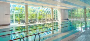 Mayfield Hotel Seoul - Piscina