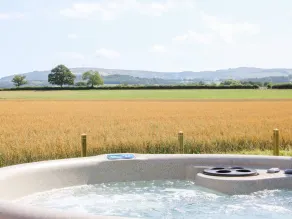 Withy Willows - Wellness