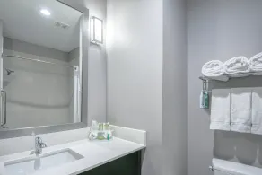 Holiday Inn Express and Suites Houston North - IAH Area by IHG - Salle de bain