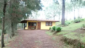 Cabañas el Pinar - Værelse