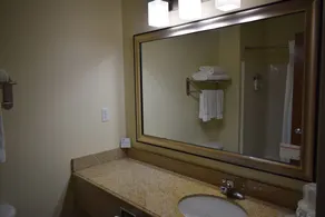Wingate by Wyndham Newell - Baño