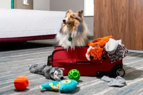 Hampton Inn & Suites Hartford/Farmington - Chambre
