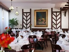 Hôtel Restaurant Pavillon Carina - Restaurant