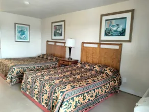 Pharr Executive Inn - Zimmer