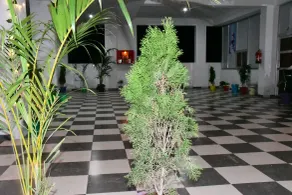 Hotel Prayagraj  - Restaurant
