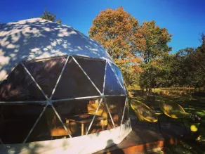 Tui's Nest Glamping - Zimmer