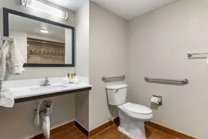 Best Western Plus Fairburn Atlanta Southwest - Baño