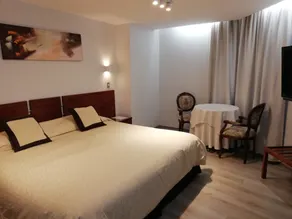 Hotel Montecarlo Santiago - Room