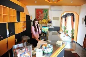 Hotel Garny Pleso - Reception