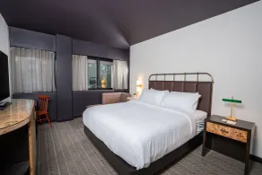 Origin Baton Rouge, a Wyndham Hotel - Chambre