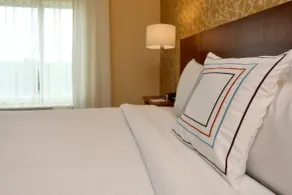 Fairfield Inn & Suites by Marriott Greenville - Chambre