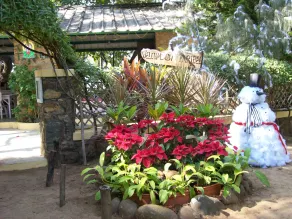 Manoribel - Reception