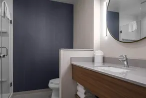 Fairfield by Marriott Inn & Suites Dallas DFW Airport North, Irving - Baño