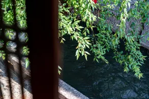 Jun Bo Xuan Boutique Hotel - View from room