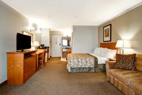 Canalta Hotel Jurassic - Drumheller - Chambre