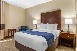 Comfort Inn Near Greenfield Village - Chambre