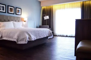Hampton Inn by Hilton Durango - Room