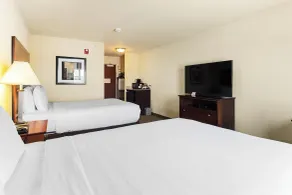Cobblestone Hotel & Suites - Knoxville - Vue de la chambre