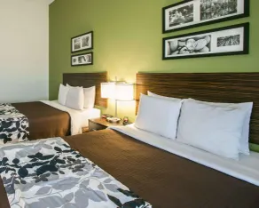 Sleep Inn & Suites Dripping Springs - Austin Area - Chambre