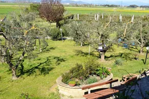 Agriturismo Gli Etruschi - Utsikt från rummet