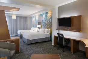 Courtyard by Marriott Hot Springs - Room