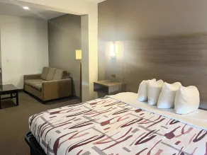 Restwell Inn & Suites I-45 North - Room