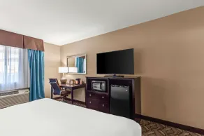 Comfort Inn & Suites Springfield I-55 - Chambre