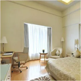Park Plaza Gurgaon - Room