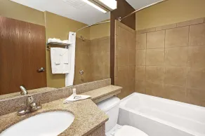 Microtel Inn & Suites by Wyndham Cartersville - Salle de bain
