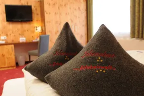Family room, shower, toilet, balcony - Camera
