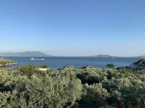 Marmara Zeytin Hotel - Udsigt fra værelset