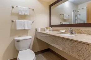 Red Roof Inn La Marque - Texas City - Bagno