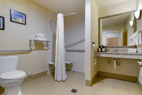 Comfort Suites Fultondale I-65 near I-22 - Salle de bain