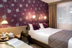 Hôtel du Midi Saint-Etienne - Chambre