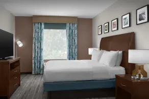 Hilton Garden Inn Greensboro Airport - Værelse