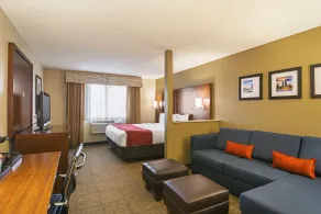 Comfort Suites Grayslake near Libertyville North - Chambre