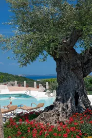 Hotel Pulicinu - Basseng