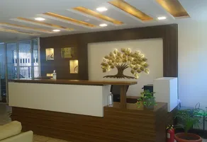 Siri Delight - Reception