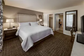 Embassy Suites by Hilton Scottsdale Resort - Rum