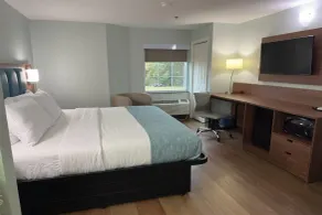 Wingate by Wyndham Macon I-475 - Chambre