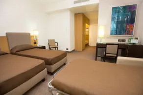  Ariha Hotel Cosenza - Chambre