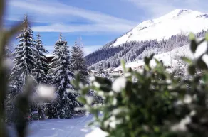 Hotel Berghof - Vue de la chambre